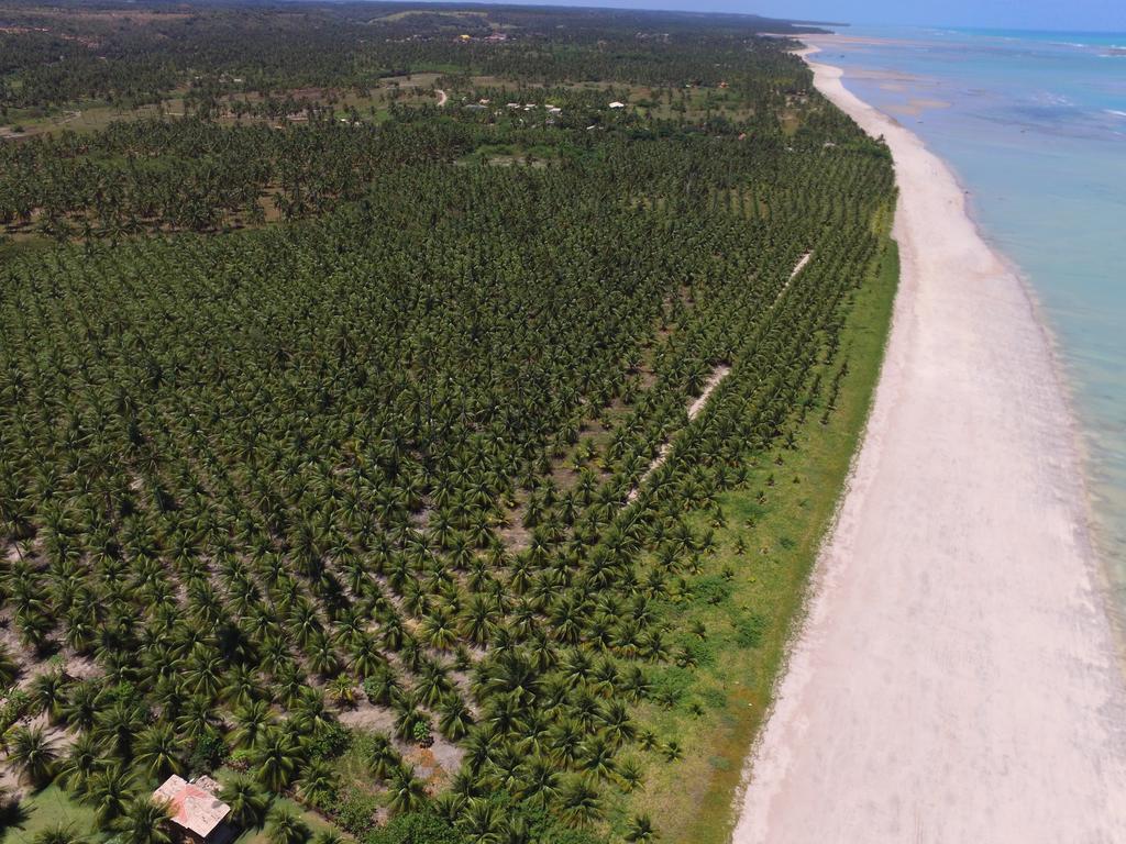 Villas Tature São Miguel dos Milagres Exterior foto
